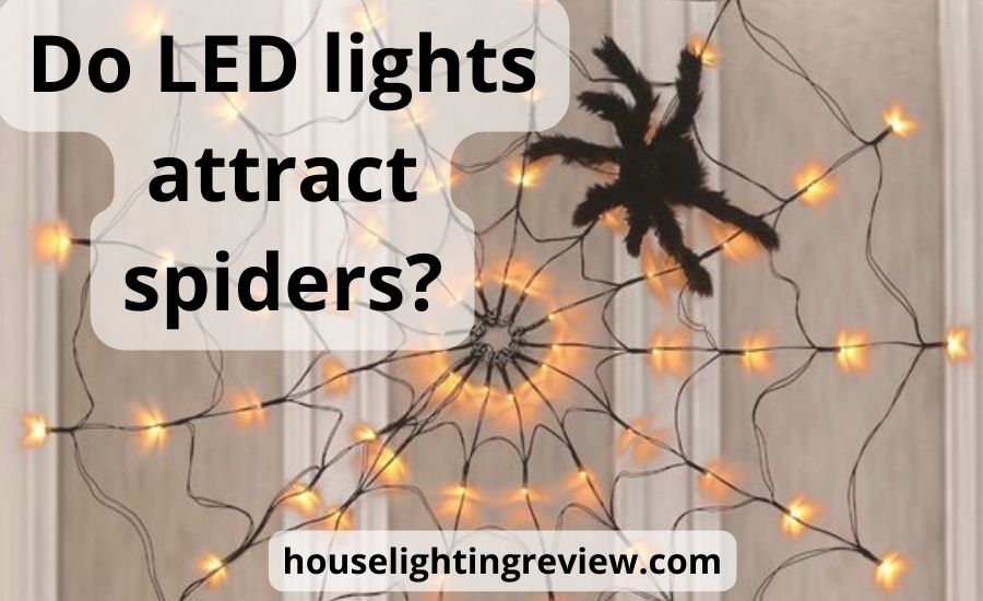 Do LED lights attract spiders: top 5 reasons & super guide